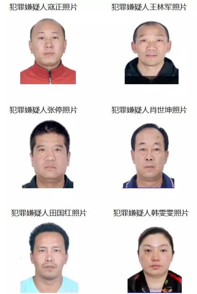 关于检举揭发邱伟等人违法犯罪行为敦促涉案犯罪嫌疑人投案自首的通告