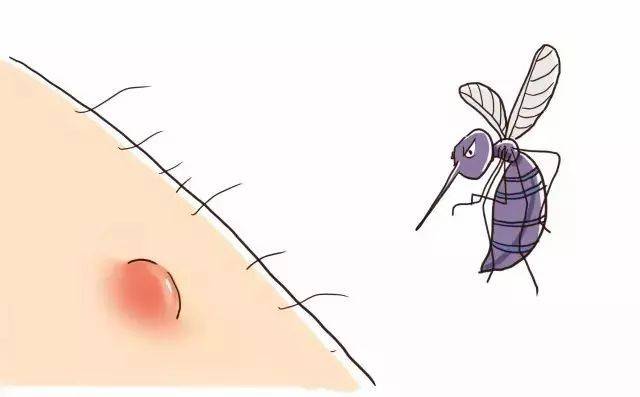 【健康】为什么蚊子见到你就想咬你······?