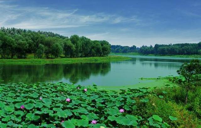 "中海式热度",中海丽春湖墅开盘大卖20亿