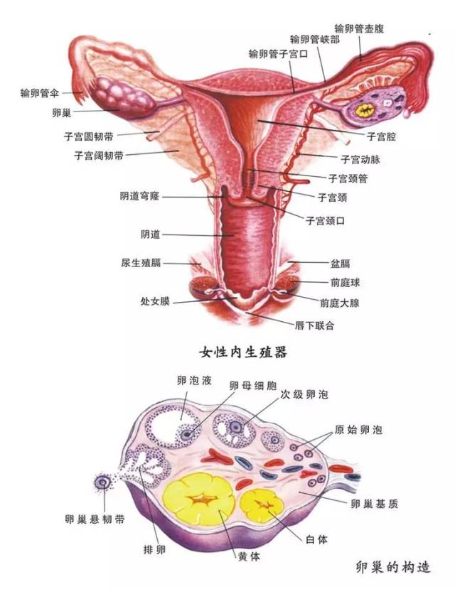 手机搜狐网