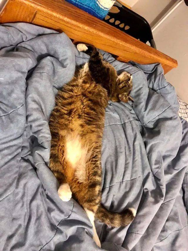 舒舒服服的睡上一觉