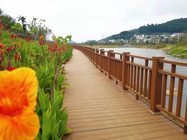 碧波花诗园,又一个周末好去处