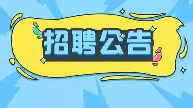 公开选聘城区小学校教师,有才你就来