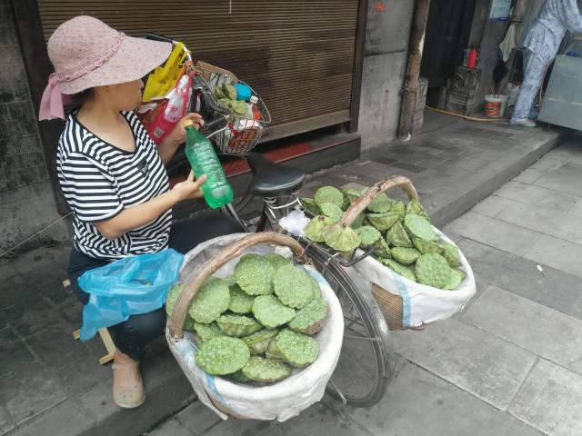 在西安市西羊市街道上,不到三百米的街道上,有三四个卖莲蓬的摊位.