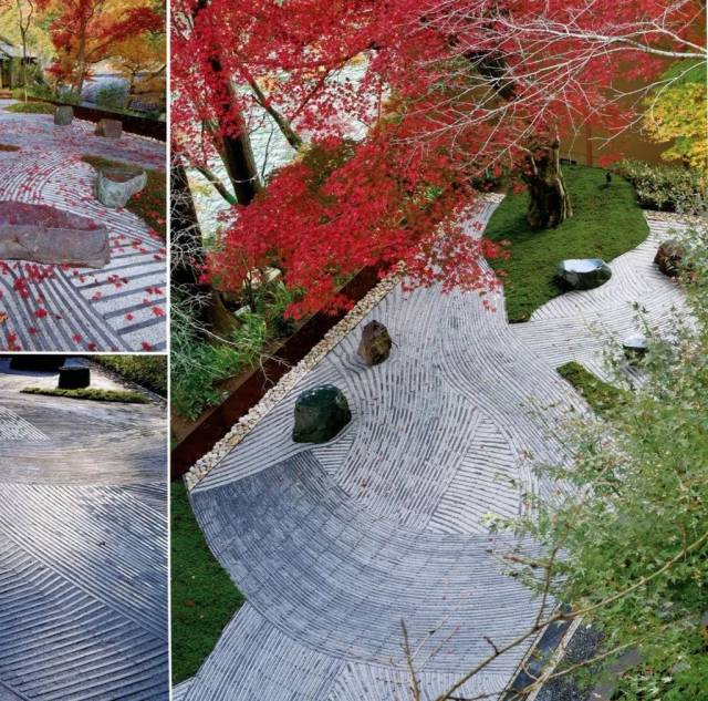 02, 运动健康功能区