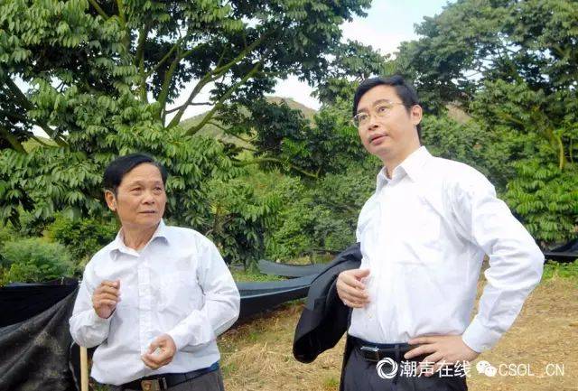 揭阳市陈东市长在广东博览会上了解,品尝三棱榄
