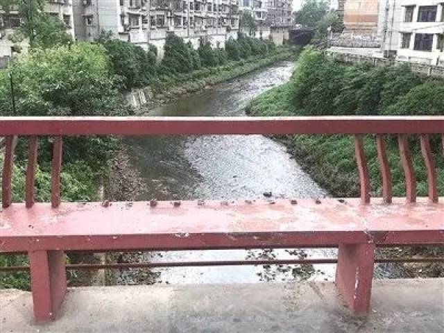 州城风陵渡多处公共设施被损坏