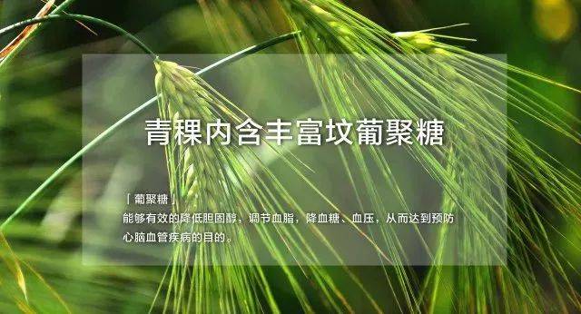 青稞内含丰富的葡聚糖,是小麦的50倍,有效帮助降血糖,血脂,血压.