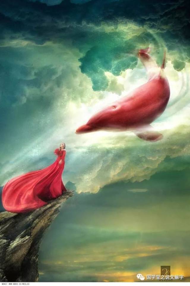 说文解字:鱼,"北冥有鱼",说的会不会是鲸鱼呢?