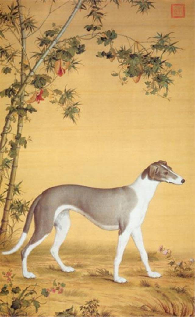 危机关头这条狗救了康熙帝