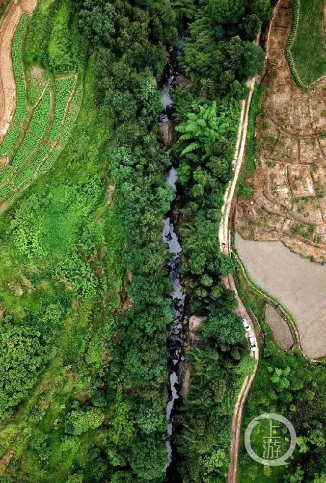 美丽江津江津龙吟雕岩谷首登中国国家地理