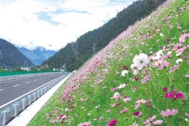 生态公路的分隔带,绿化景观以及边坡的设计施工就要这么干!