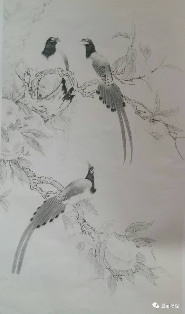 写意重彩禽类画法—《果熟鸣唱》步骤详解_搜狐网