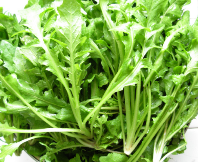 荠菜被称作春菜,别名野荠,地菜,护生草,鸡心菜,生长于田野,路边及庭院