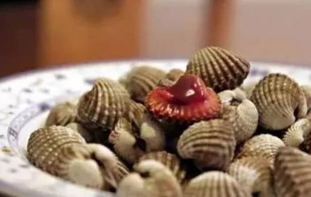 血蛤、沙蒜、佛手螺…还有什么是温岭人不敢吃
