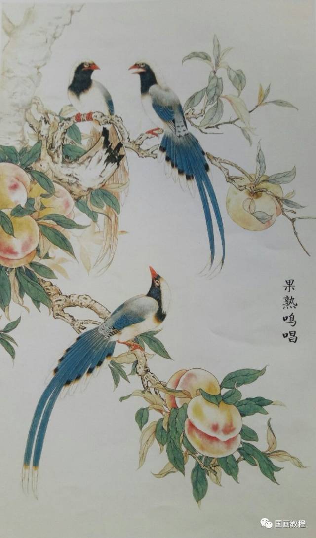写意重彩禽类画法—《果熟鸣唱》步骤详解_搜狐网