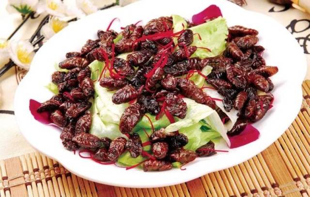 油炒土蝼蛄 放心,炒熟了,肯定没有图片这么性感了.