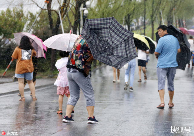 "云雀"飞过杭州浇灭热浪 大风"掀翻"游客雨伞