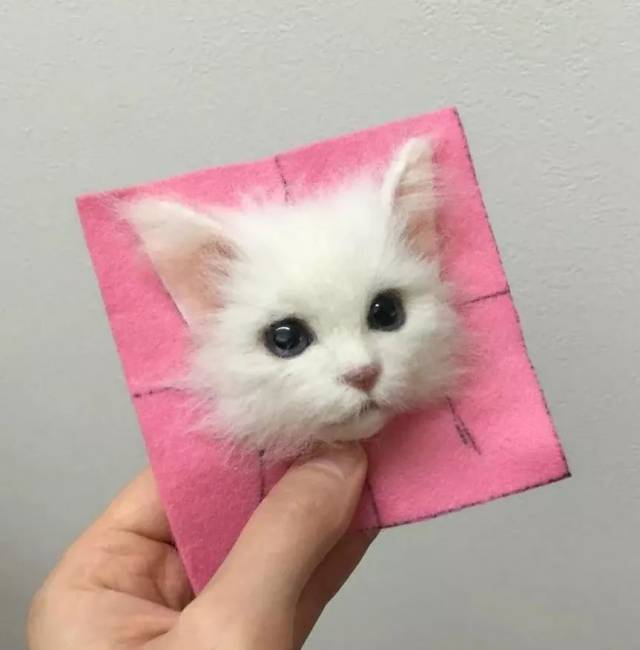 日本羊毛毡手艺人根据照片,戳出逼真的爱猫3d头像
