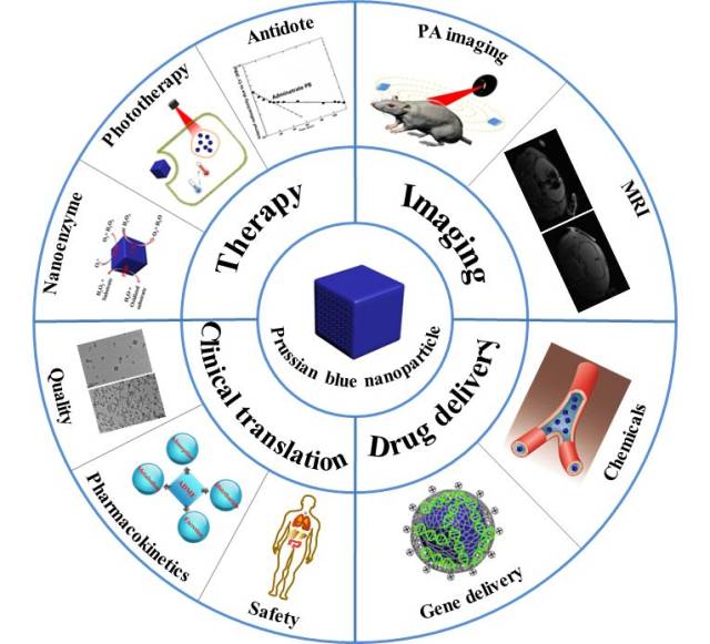 advanced healthcare materials:普魯士藍納米顆粒在生物醫學中的應用