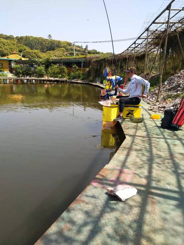 坑底酱层的原因黑坑臭底形成的原因很多,例如鱼塘底部有死鱼发臭;夏天