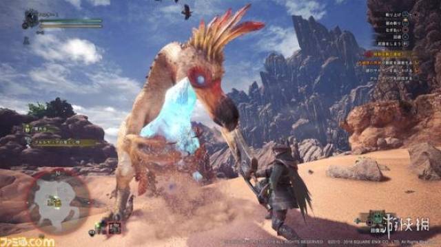 《怪物猎人世界》历战王搔鸟狩猎视频 历战王