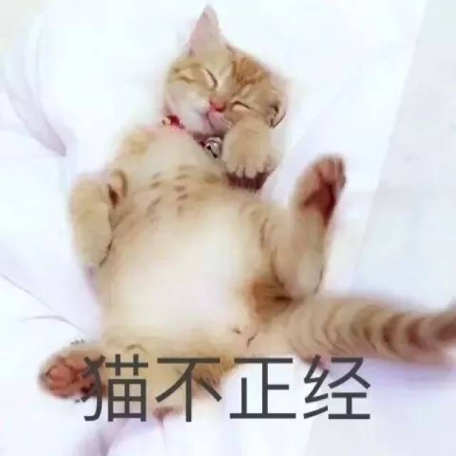 给你们看一些不正经的照片…-搞笑频道-手机搜狐