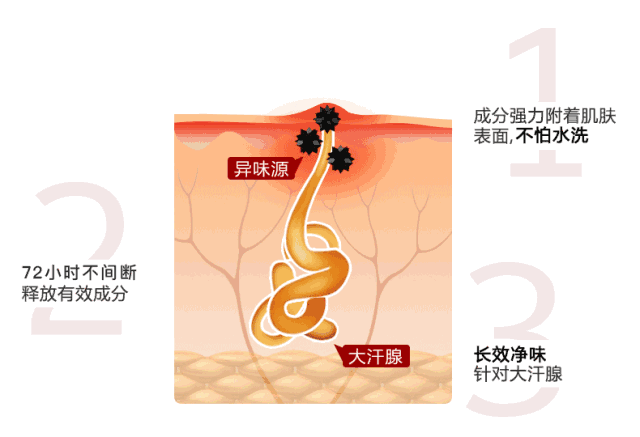 异味 汗液本身没有味道,但是细菌分解大汗腺的分泌物产生不饱和脂肪酸