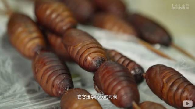 那一侧,炭架上的活蚕蛹还在扭动屁股.(文案你真的够了.