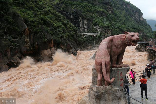 图为虎跳峡岸边的老虎雕像,非常威猛,与汹涌的江水互相辉映.