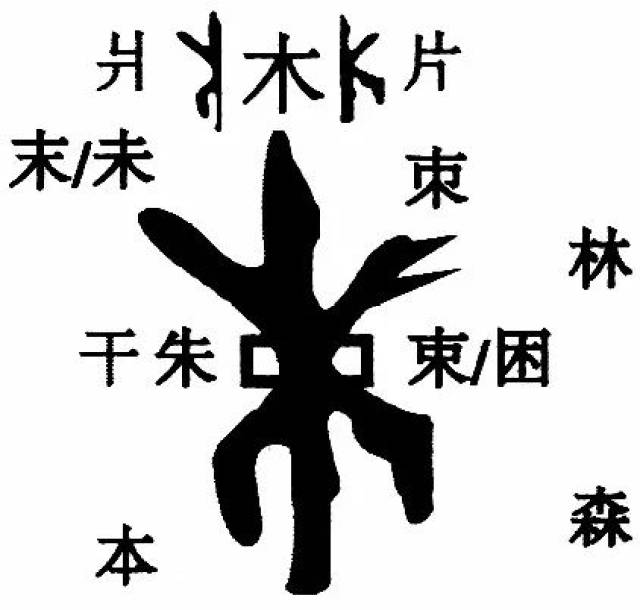 【雙法字理】木字大家族