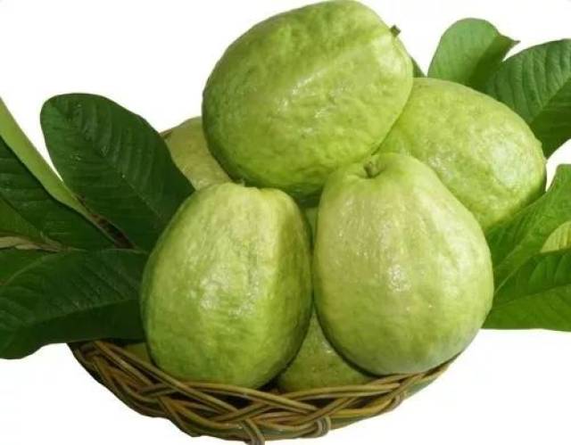 所有的小仙女们 都能抵挡住紫外线的侵袭 做一个白白嫩嫩的猪猪女孩