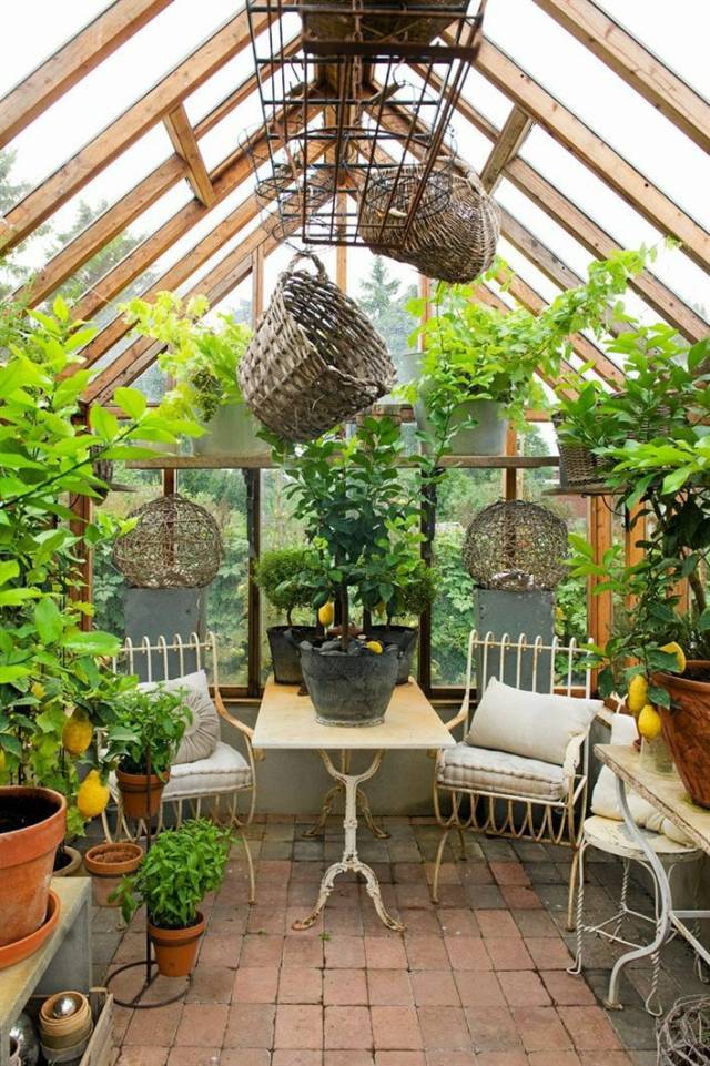 要想防止室外的热量大肆入侵阳光房,你不妨在天窗外种植一些爬藤植物