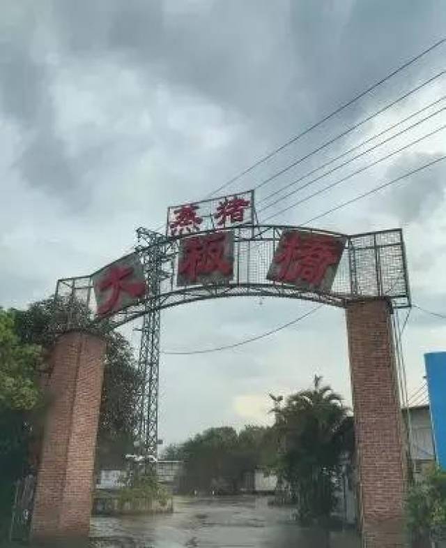 顺德均安大板桥农庄图片