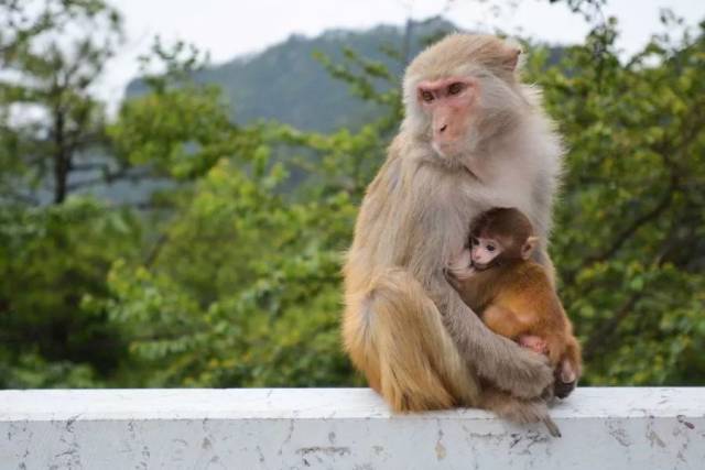 pick理由四:可以"上天入地"