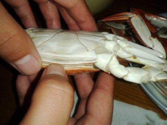 螃蟹吃法的最完全教程, 完全不用任何工具, 吃着就是带劲!