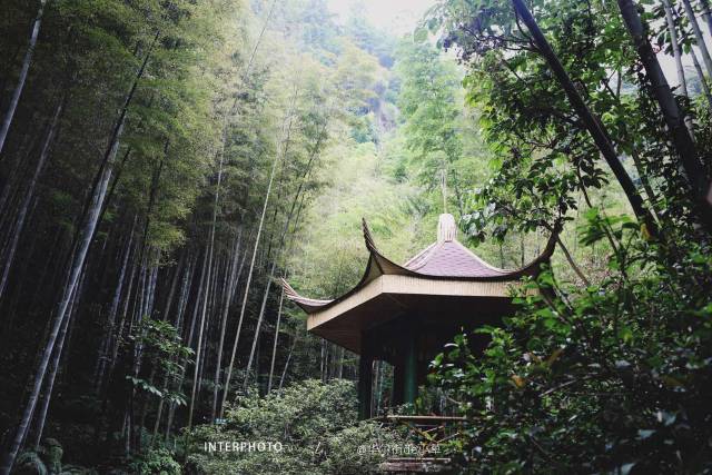 【蜀南竹海三日深度游】隐居山与竹海,再遇《卧虎藏龙》