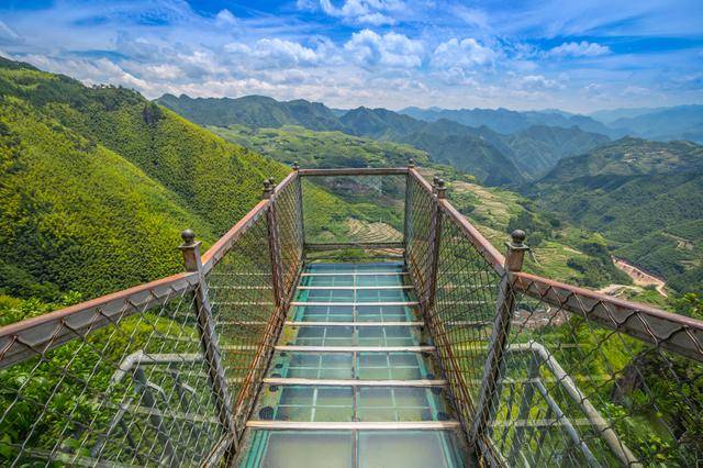 站在透明的玻璃栈道上,对面就是2000亩高山梯田.