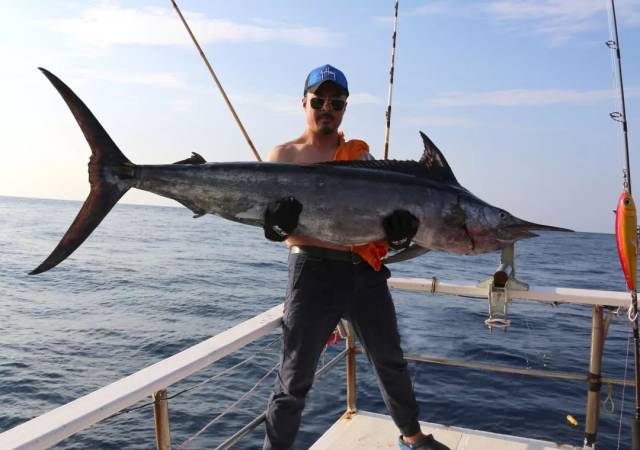 拖钓海洋"小霸王"旗鱼的技巧简单又实用