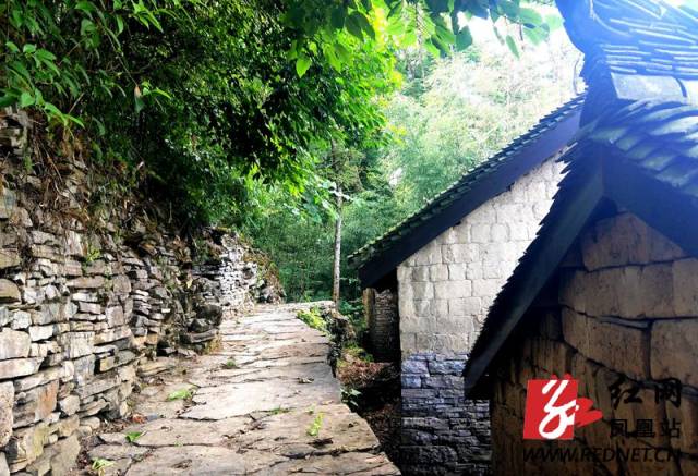 唐金生 通讯员 唐晟智)8月5日,笔者行走在湖南省凤凰县麻冲乡竹山村