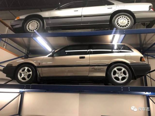 integra"硬地瓜"