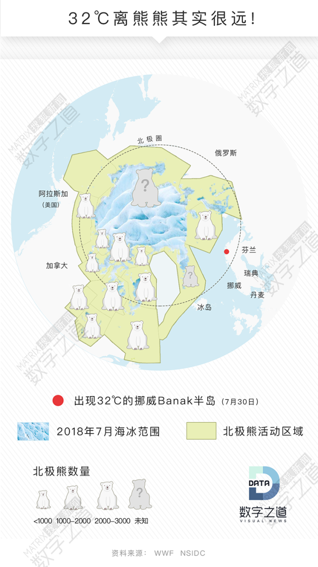 别急着为北极熊哭丧现实里高温离熊十万八千里