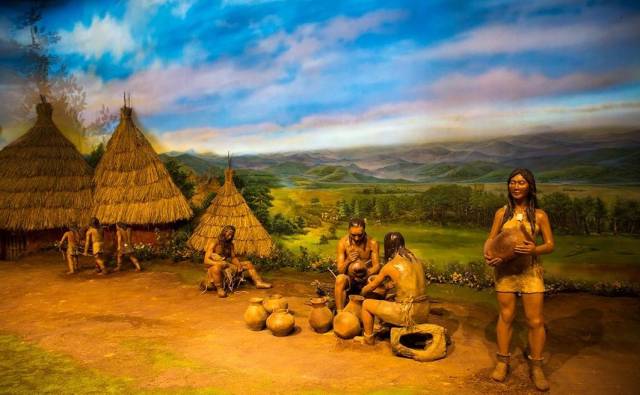 中国陶与瓷的来源与区别(最详解说)_手机搜狐网