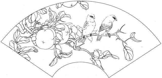 书画-国画学习素材:国画白描扇面花鸟作品