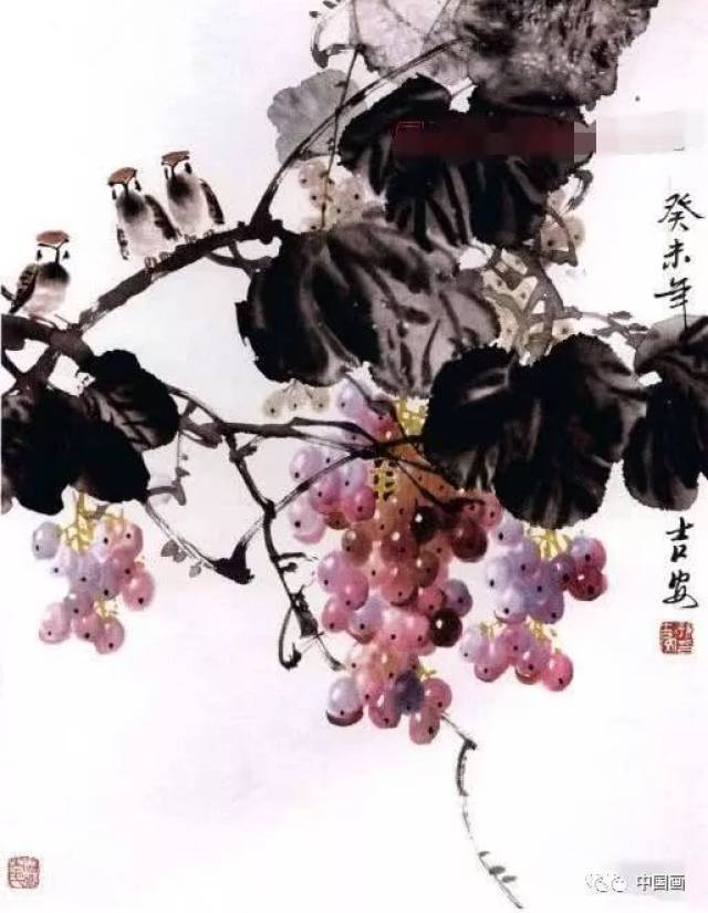 写意葡萄基本技法概述,写意葡萄画法步骤详解,葡萄的各种画法示范