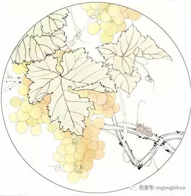 【国画技法】工笔画技法双色葡萄的绘制过程