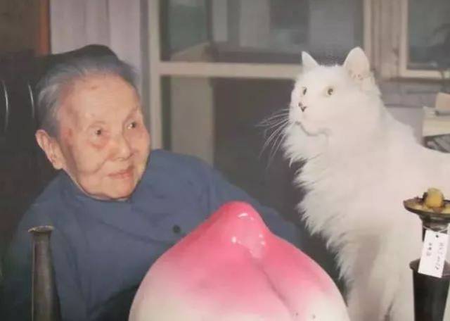 冰心和她的猫印象中的冰心应该是为非常非常有亲和力的作家.