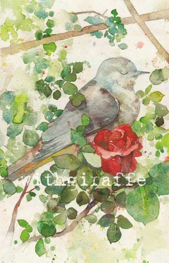 王尔德《夜莺与蔷薇》:人类并不把爱情当一回事