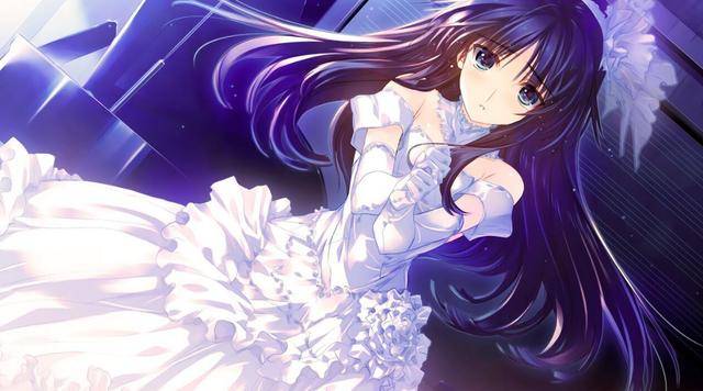 二次元中经常提到的白学是什么?看了这篇文