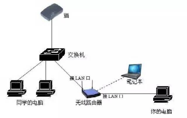 猫和路由器交换机